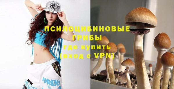 прущая мука Абаза