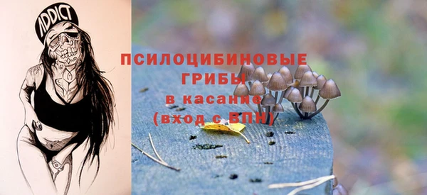 героин Алзамай