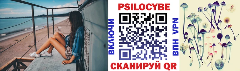 цена   Данилов  Псилоцибиновые грибы GOLDEN TEACHER 